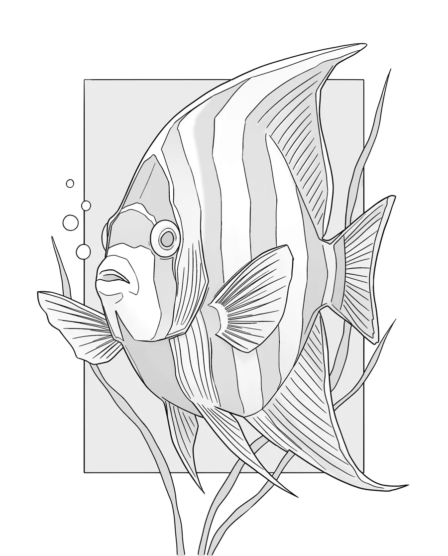 Angelfish as printed in the book: a line drawing with a light gray shading guide