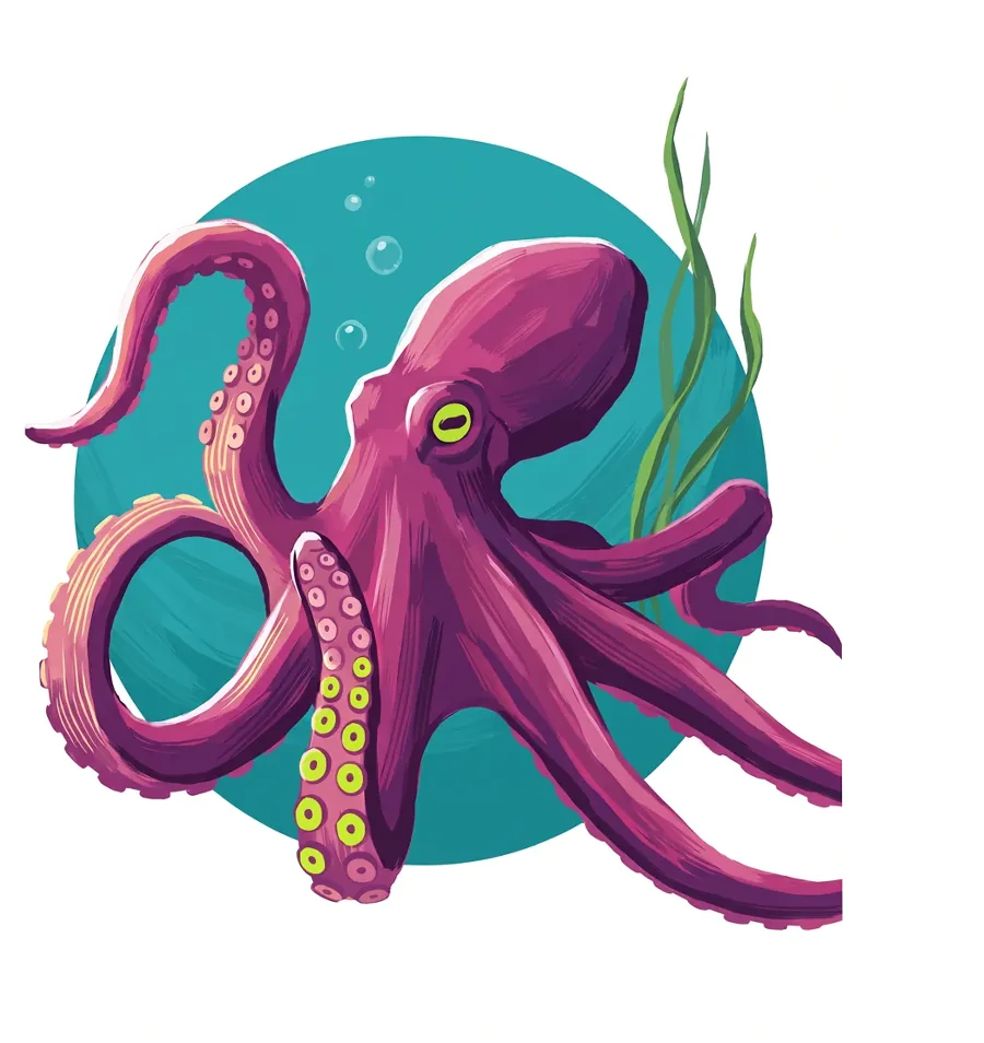 Octopus color reference from Quiet Ocean