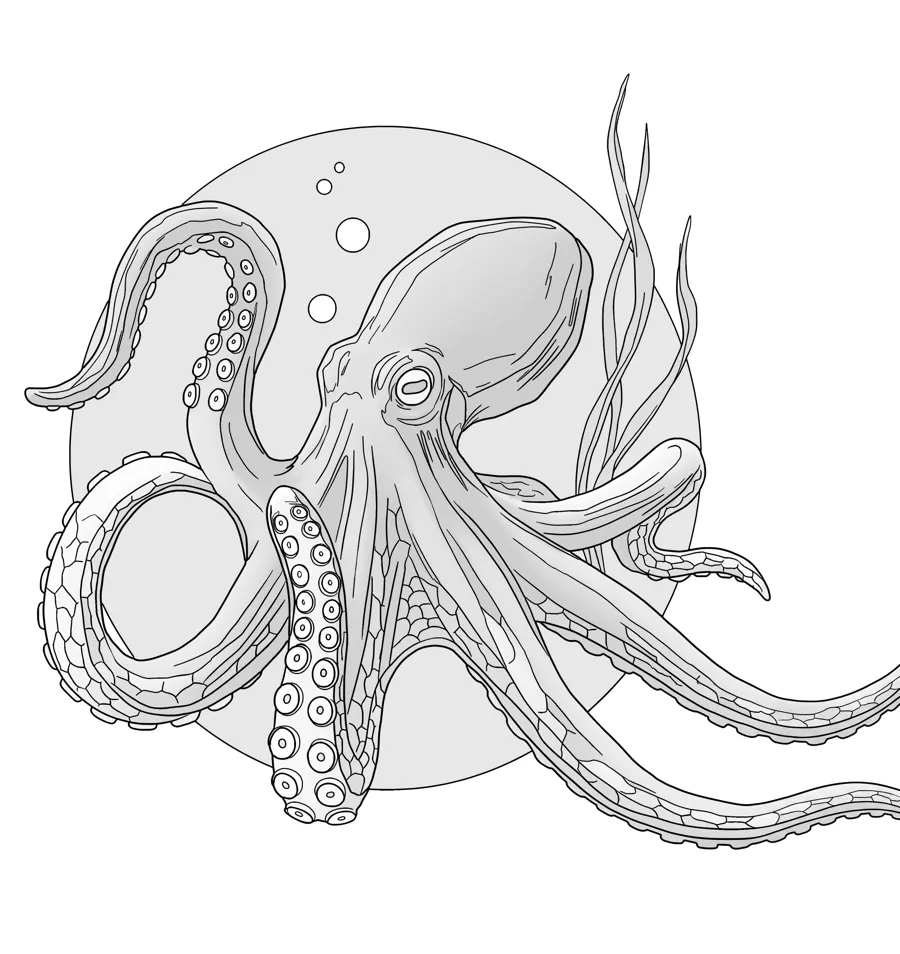 Octopus as printed in the book: a line drawing with a light gray shading guide