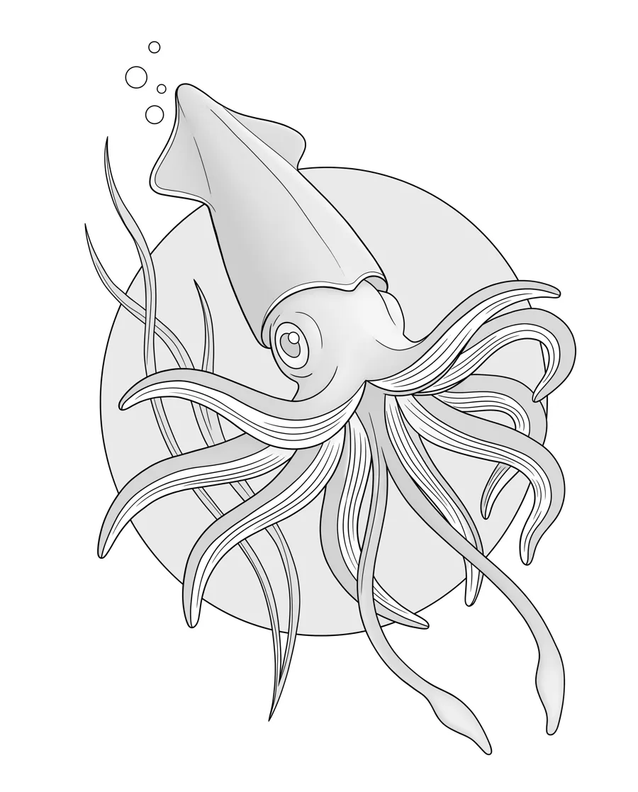 Squid as printed in the book: a line drawing with a light gray shading guide
