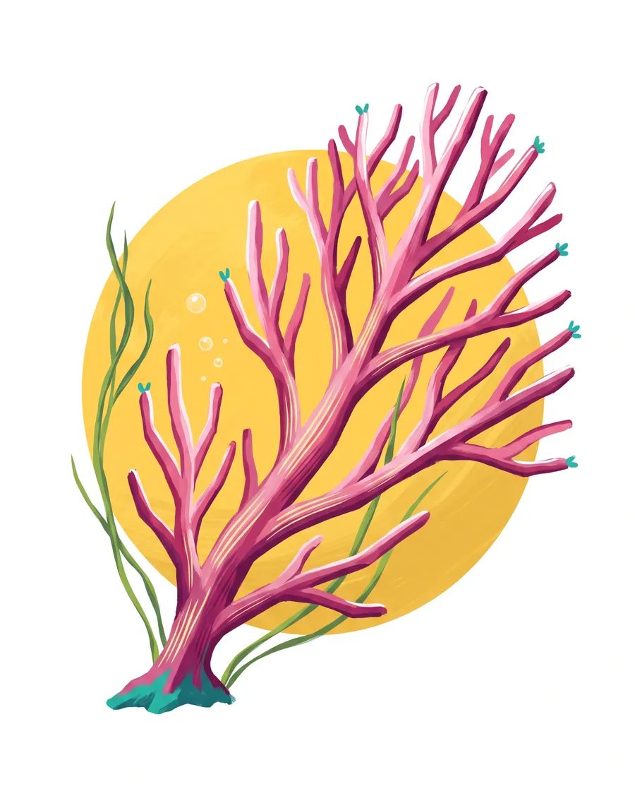 Sea fan coral color reference from Quiet Ocean