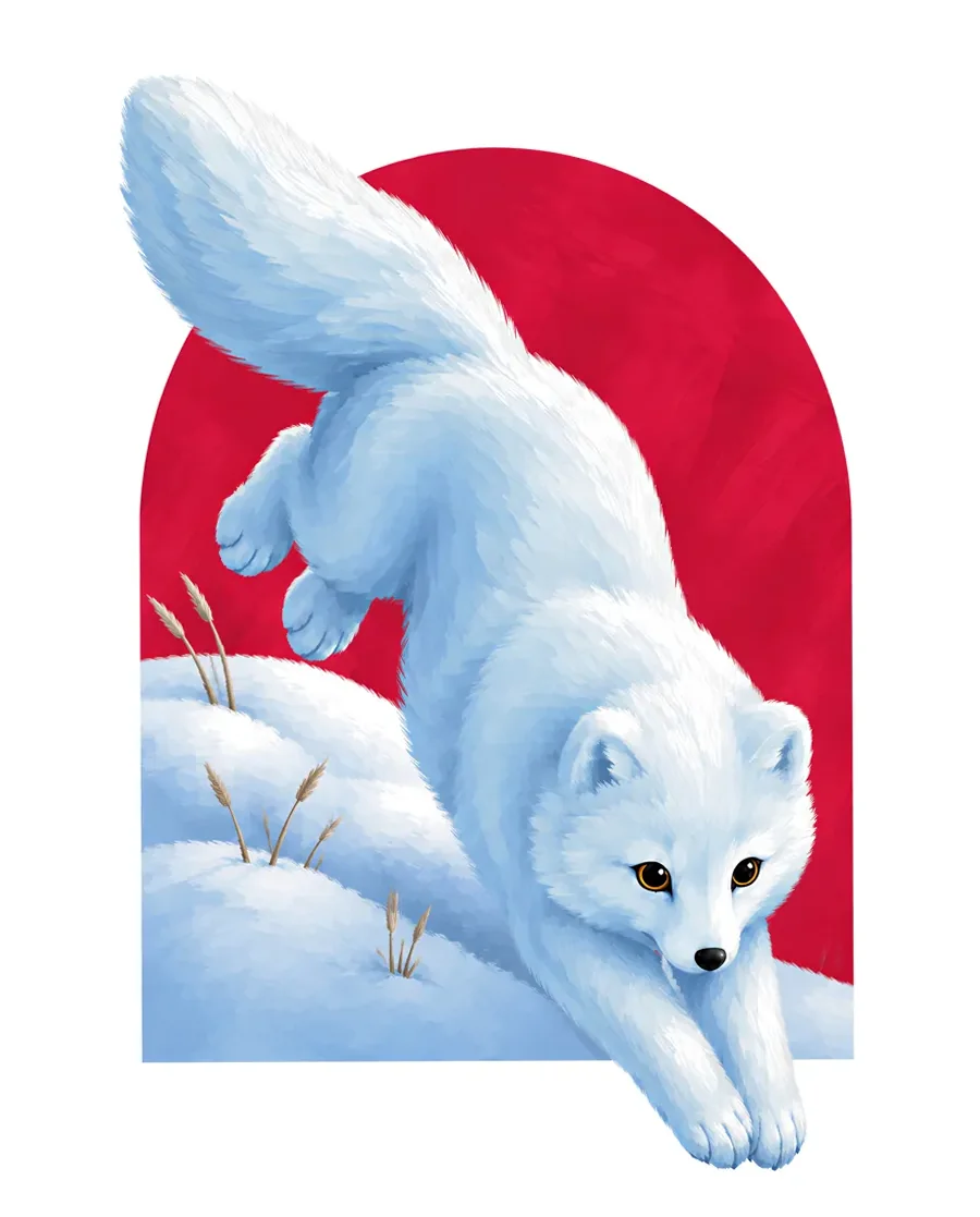 Arctic fox color reference from Quiet Winter