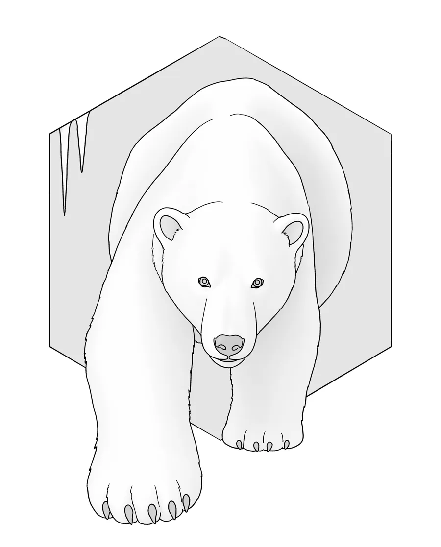 Polar bear as printed in the book: a line drawing with a light gray shading guide