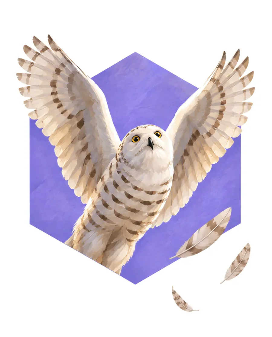 Snowy owl color reference from Quiet Winter