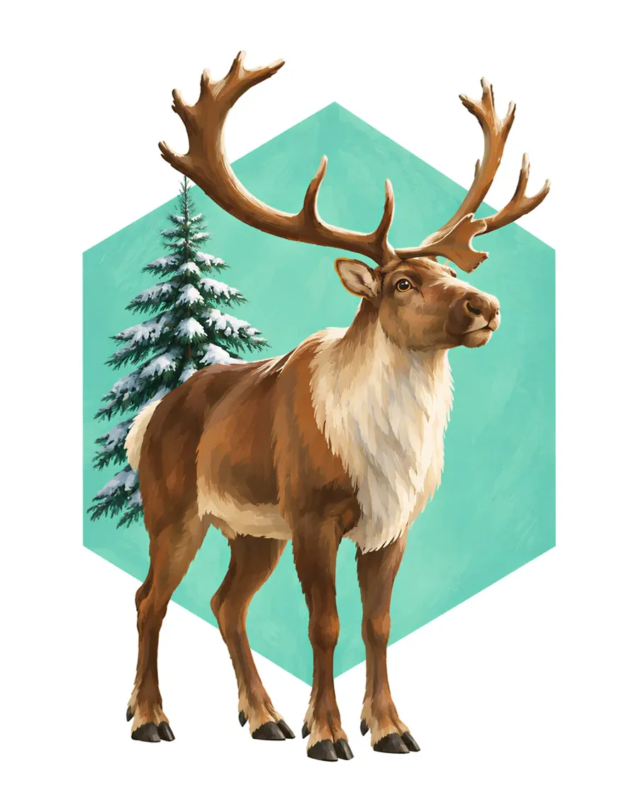 Reindeer color reference from Quiet Winter