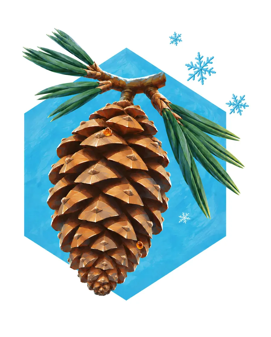 Pine cone and needles color reference from Quiet Winter