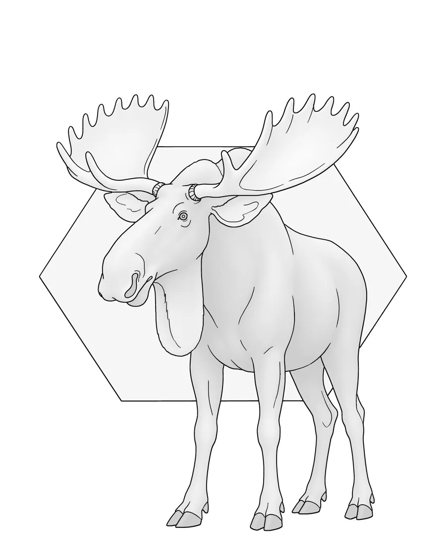 Moose as printed in the book: a line drawing with a light gray shading guide