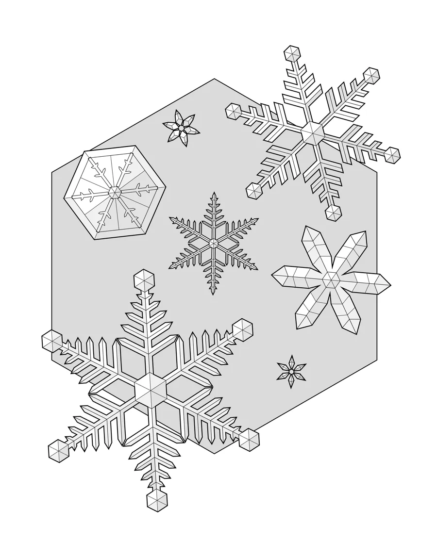 Snow crystals as printed in the book: a line drawing with a light gray shading guide