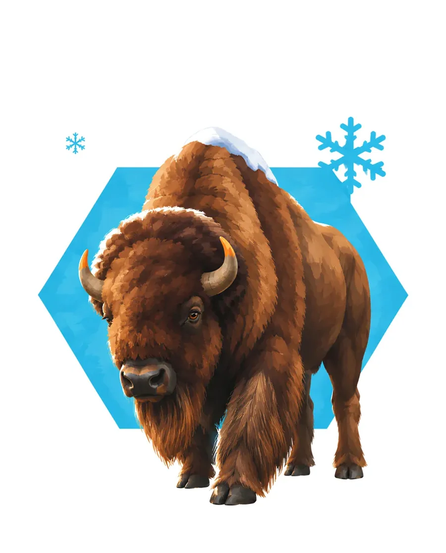 Bison color reference from Quiet Winter