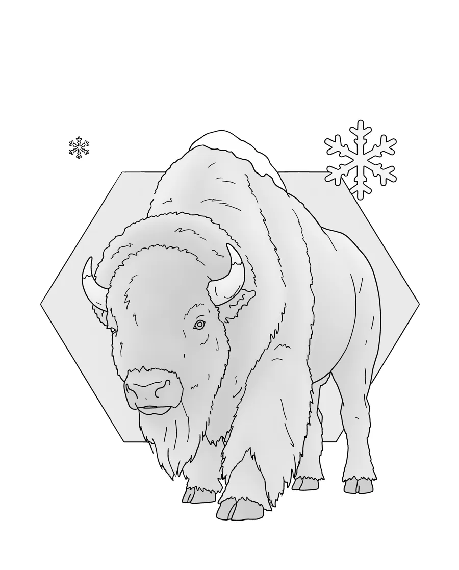 Bison as printed in the book: a line drawing with a light gray shading guide