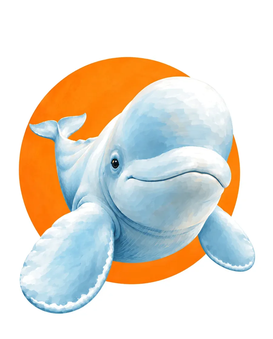 Beluga whale color reference from Quiet Winter