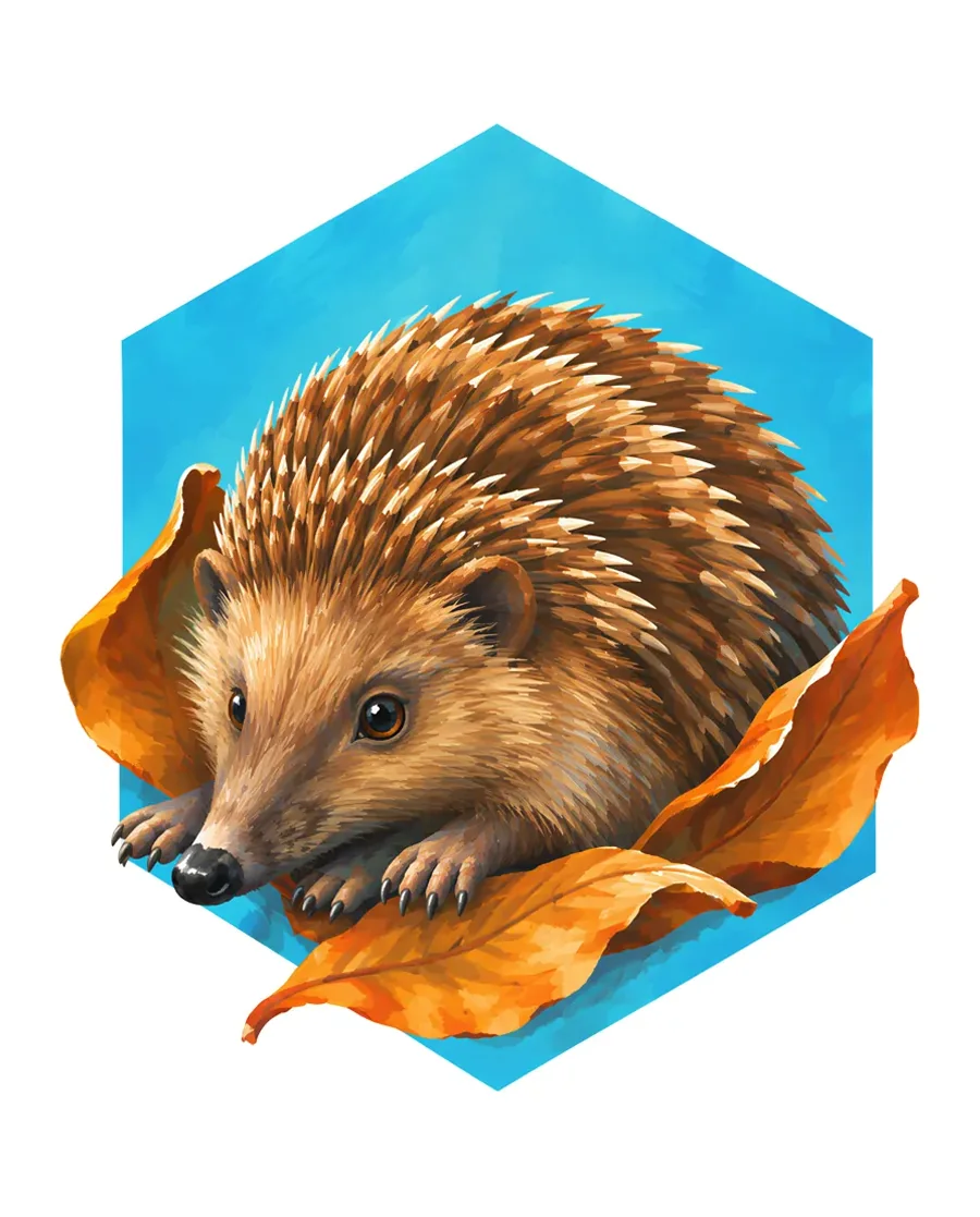 Hedgehog color reference from Quiet Winter