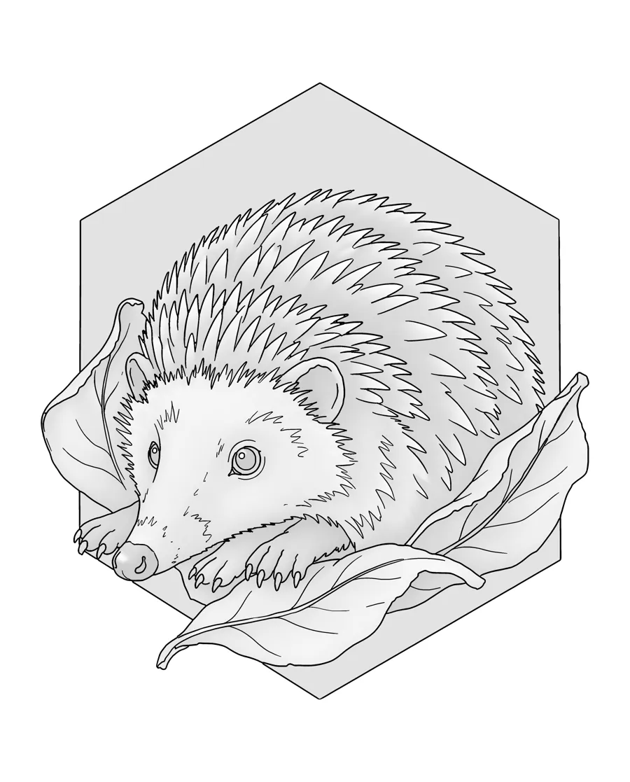 Hedgehog as printed in the book: a line drawing with a light gray shading guide